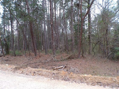 /international/us/13495-gilbert-tommie-rd-mccalla-al-110106126028/