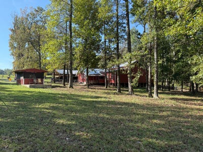 /international/us/61-dalton-drive-cave-city-ar-110102658168/