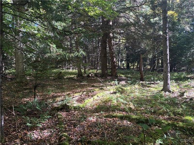 /international/us/moehs-road-old-forge-ny-110102377138/