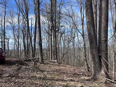 /international/us/calvary-way-lot-103-4-7-laurel-fork-va-110107199642/