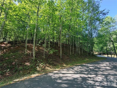 /international/us/lakewood-drive-lake-lure-nc-110108345456/