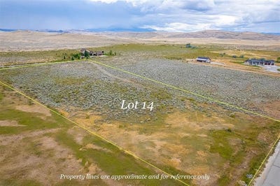 /international/us/jackie-bee-dr-cody-wy-110105840559/