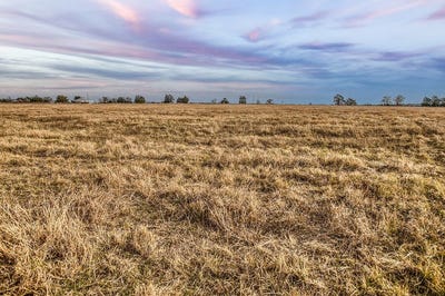 /international/us/tbd-county-road-318-caldwell-tx-110106466382/