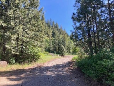 /international/us/2051-wa-25-kettle-falls-wa-110107832743/