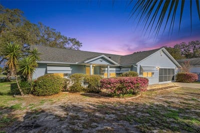 /international/us/828-dundee-circle-leesburg-fl-110106523446/
