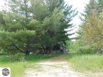 /international/us/11616-darragh-road-mancelona-mi-110100657602/
