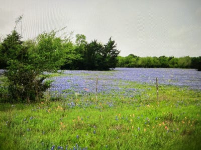/international/us/tbd-a0019-fj-greenwood-track-3-acres-82-56-fronting-fm-2445-navasota-tx-110099934783/