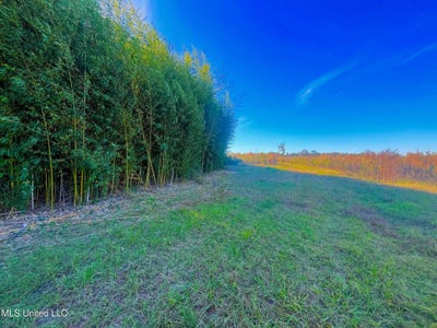 /international/us/darbun-china-grove-road-sandy-hook-ms-110103761052/
