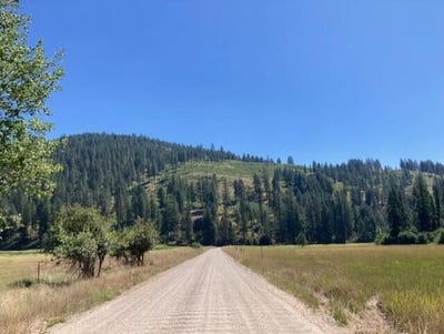/international/us/25xx-hall-creek-rd-inchelium-wa-110100924169/