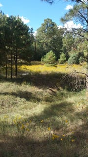 /international/us/56-carolino-canyon-road-tijeras-nm-110105394972/