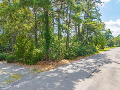 /international/us/capshaw-road-forked-river-nj-110119993450/