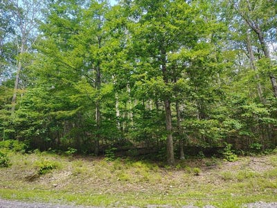 /international/us/ridgetop-lane-lot-56-a-tazewell-va-110101665226/