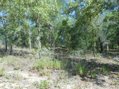 /international/us/5225-e-prentice-lane-inverness-fl-110107877633/