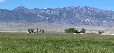 /international/us/1314-fire-station-road-e-ely-nv-110103197878/