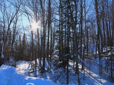 /international/us/on-alpine-dr-lot-35-upson-wi-110108441405/