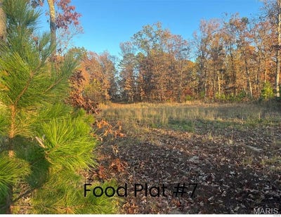 /international/us/0-tract-2-160-acres-lodge-road-potosi-mo-110099127304/