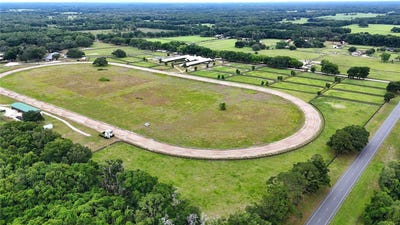 /international/us/19431-ne-17th-place-williston-fl-110108551030/