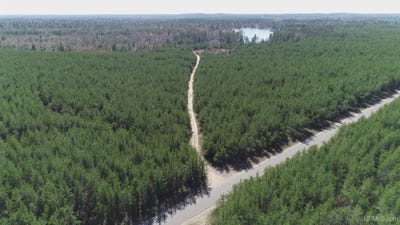 /international/us/parcel-1-rice-lake-gwinn-mi-110096684345/