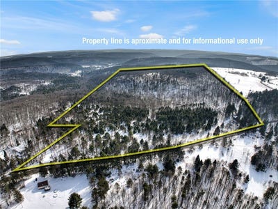 /international/us/169-irish-hill-road-newfield-ny-110105798696/