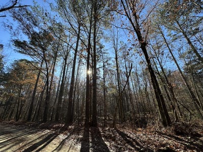 /international/us/lot-8-saggus-road-washington-ga-110096511142/?lang=es