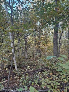 /international/us/tbd-dell-marie-place-breezy-point-mn-110102689807/