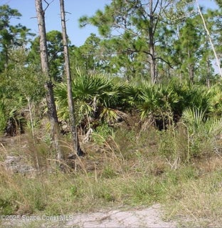 /international/us/0000-unknown-malabar-fl-110100116938/