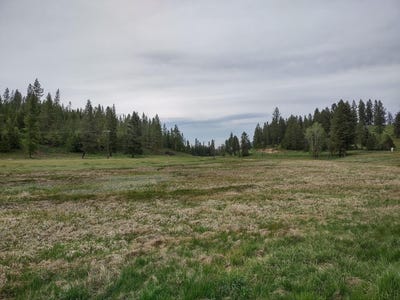 /international/us/e-jump-off-rd-valley-wa-110107981185/