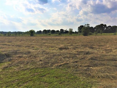 /international/us/mound-view-drive-lot-306-england-ar-110104519232/