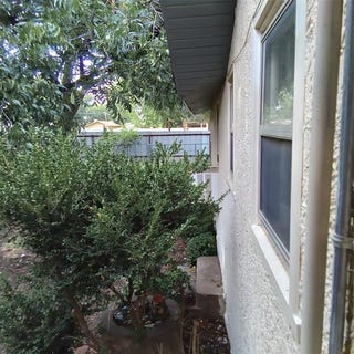 /international/us/1201-union-avenue-rule-tx-110100967307/