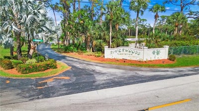 /international/us/4550-split-log-estero-fl-110101167092/?lang=en