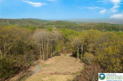 /international/us/6-gap-road-longswamp-twp-pa-110107833156/