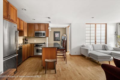 /international/us/935-e-hopkins-avenue-aspen-co-110100770465/