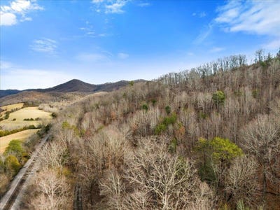 /international/us/1154-lusters-gate-road-blacksburg-va-110101398701/?lang=de