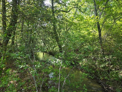 /international/us/tr-21-22-pine-tree-trail-albion-ok-110099377522/?lang=zh-tw