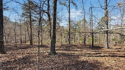 /international/us/930-pine-bark-trail-kansas-ok-110119753382/