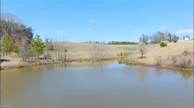 /international/us/10-acres-lot-c-hauser-road-pinnacle-nc-110100317782/