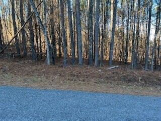 /international/us/lot-30-yellow-creek-rd-leesburg-al-110090418512/?lang=en