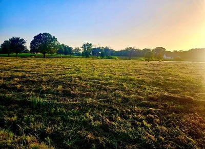 /international/us/lot-2-county-road-3541-saltillo-tx-110097116309/