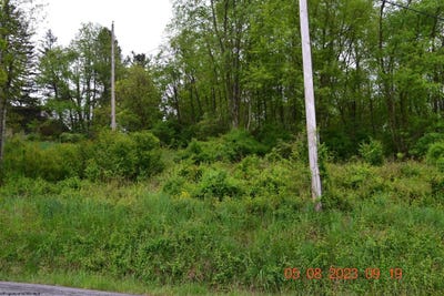 /international/us/lucas-dairy-road-grafton-wv-110084225340/