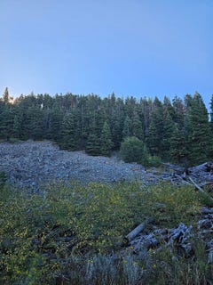 /international/us/nka-lakeview-or-110108015541/