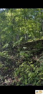 /international/us/wilderness-drive-lot-142-144-mammoth-cave-ky-110108236865/