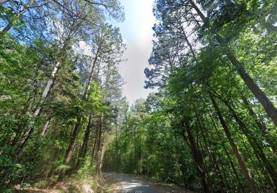 /international/us/cedar-grove-loop-lot-63-bolivar-tn-110106698250/