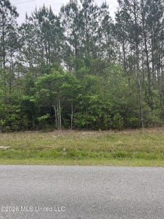 /international/us/leetown-road-lot-1-picayune-ms-110107781458/