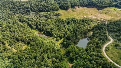 /international/us/9999-terrell-hollow-road-rockholds-ky-110100718542/