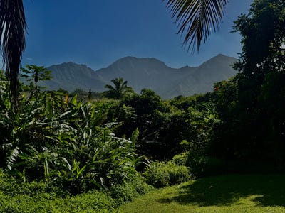 /international/us/5339-honoiki-rd-princeville-hi-110106756224/