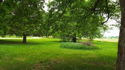 /international/us/1179-oak-street-ocheyedan-ia-110100078206/