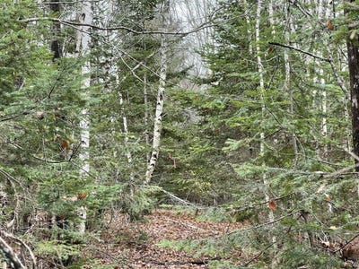 /international/us/194-e-gulch-road-thorndike-me-110103725543/