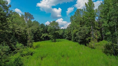 /international/us/0-alabama-hwy-60-moundville-al-110101454748/?lang=zh-tw