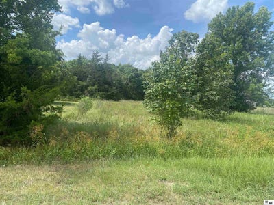 /international/us/230-temple-road-lot-1-9-acres-rayville-la-110110195936/