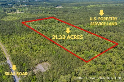 /international/us/deas-hill-road-mcclellanville-sc-110108683145/